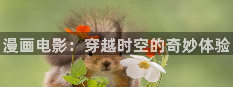 双男腐漫画网：漫画电影：穿越时空的奇妙体验