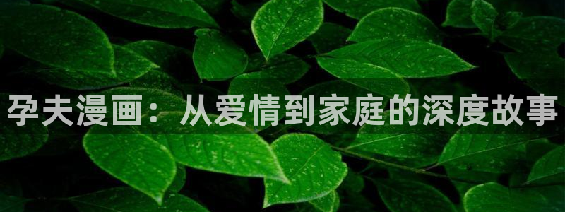 韩腐漫画网站：孕夫漫画：从爱情到家庭的深度故事